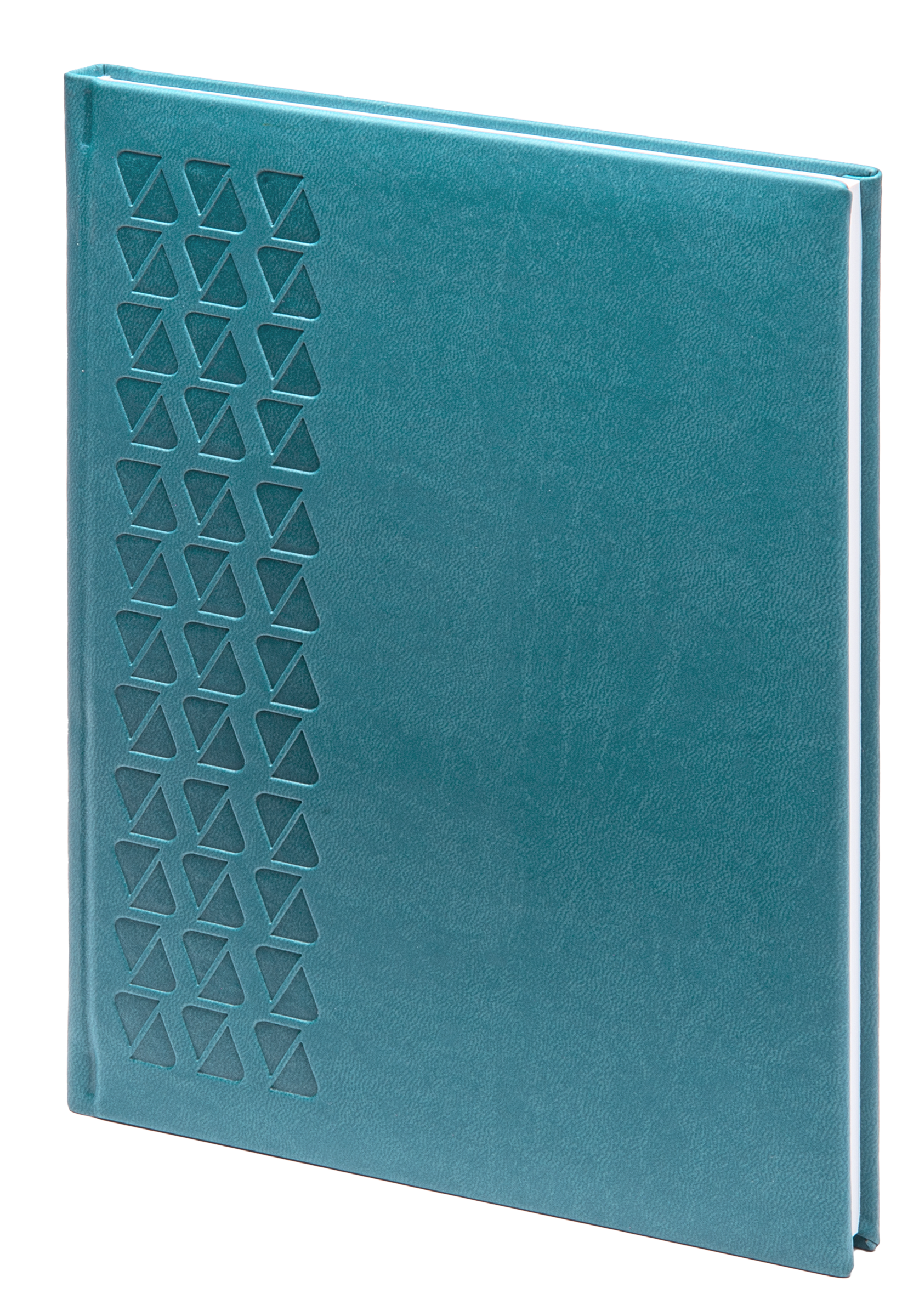 Poslovni dnevnik Anaja