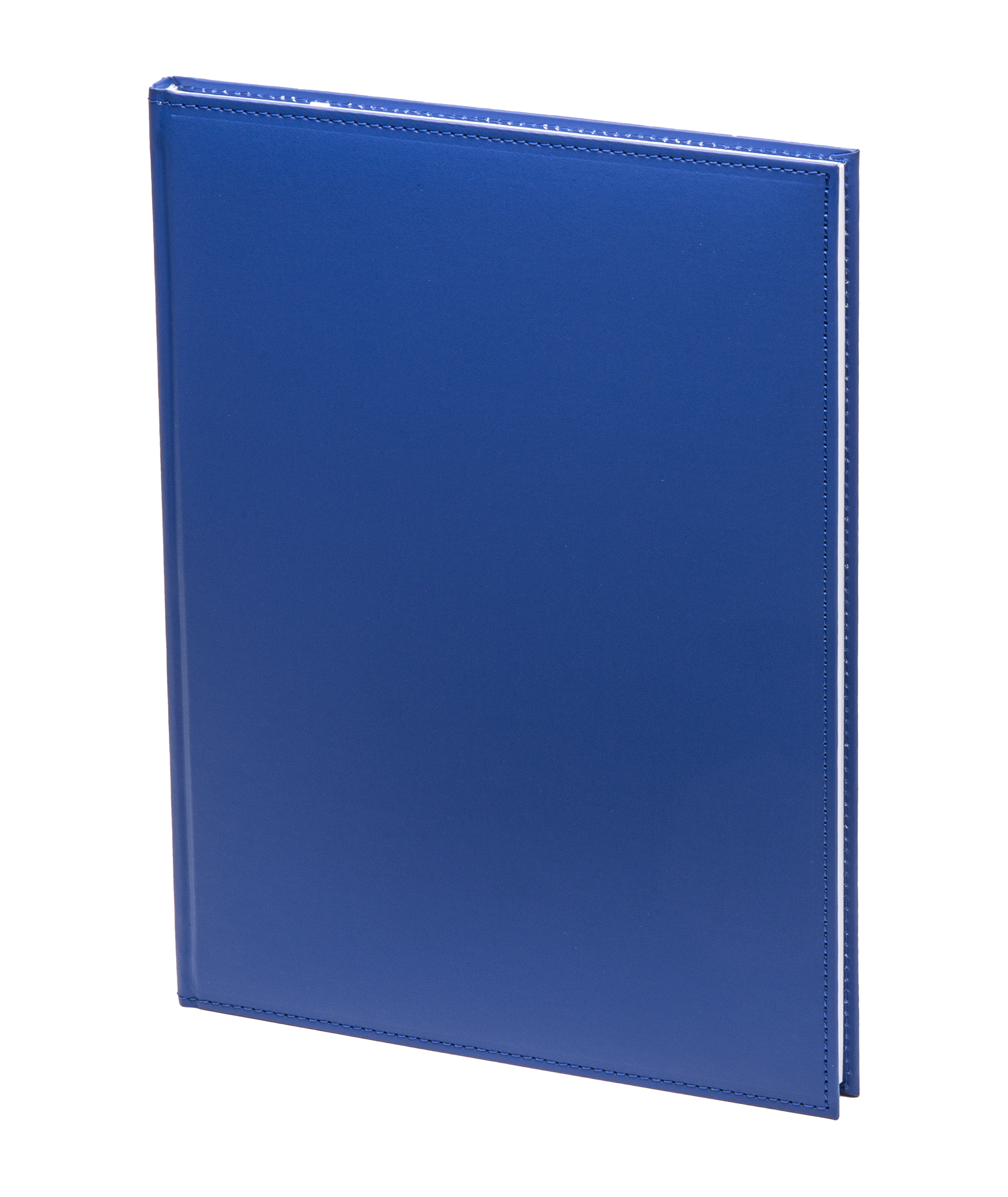 Poslovni dnevnik Everina