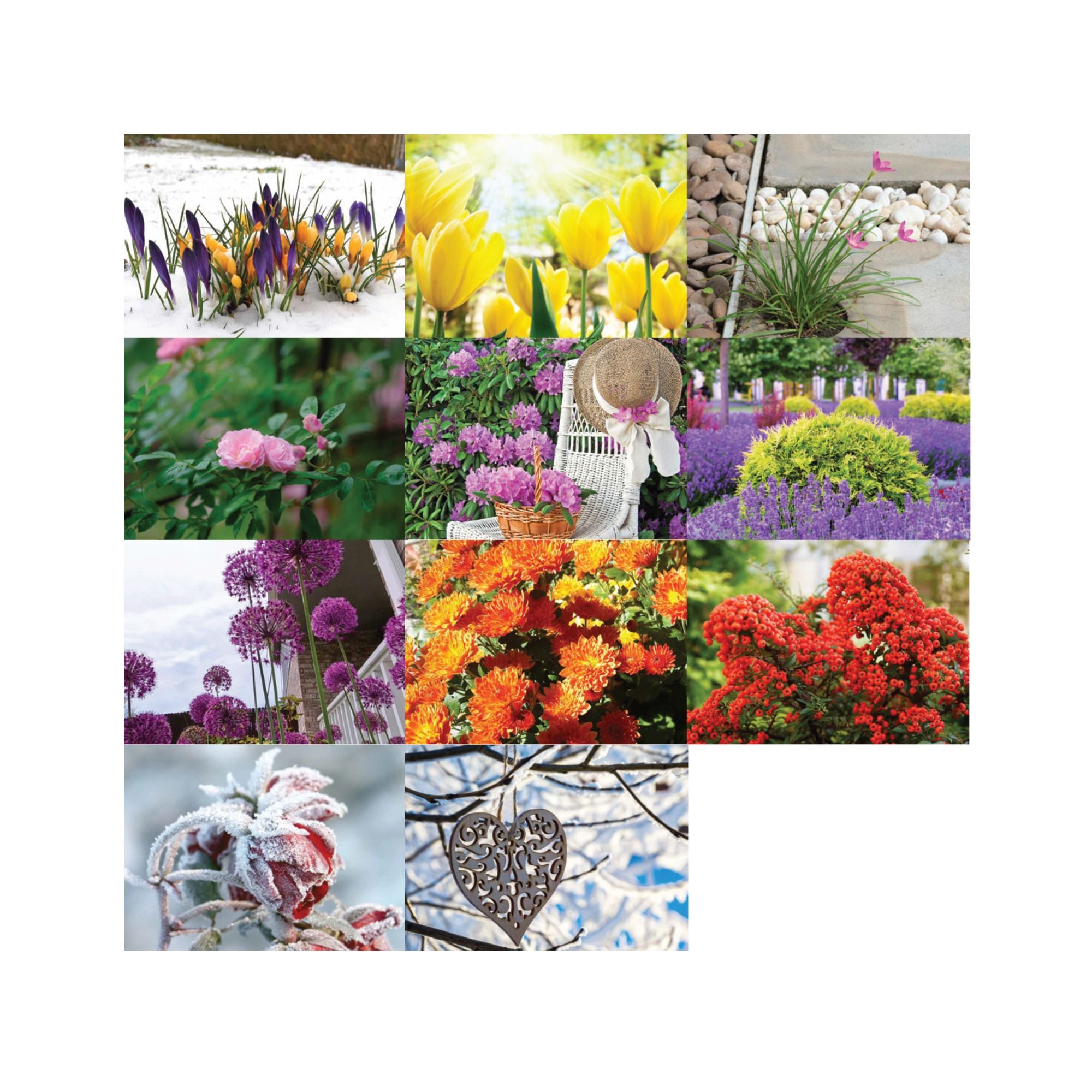 Koledar Šepet cvetja