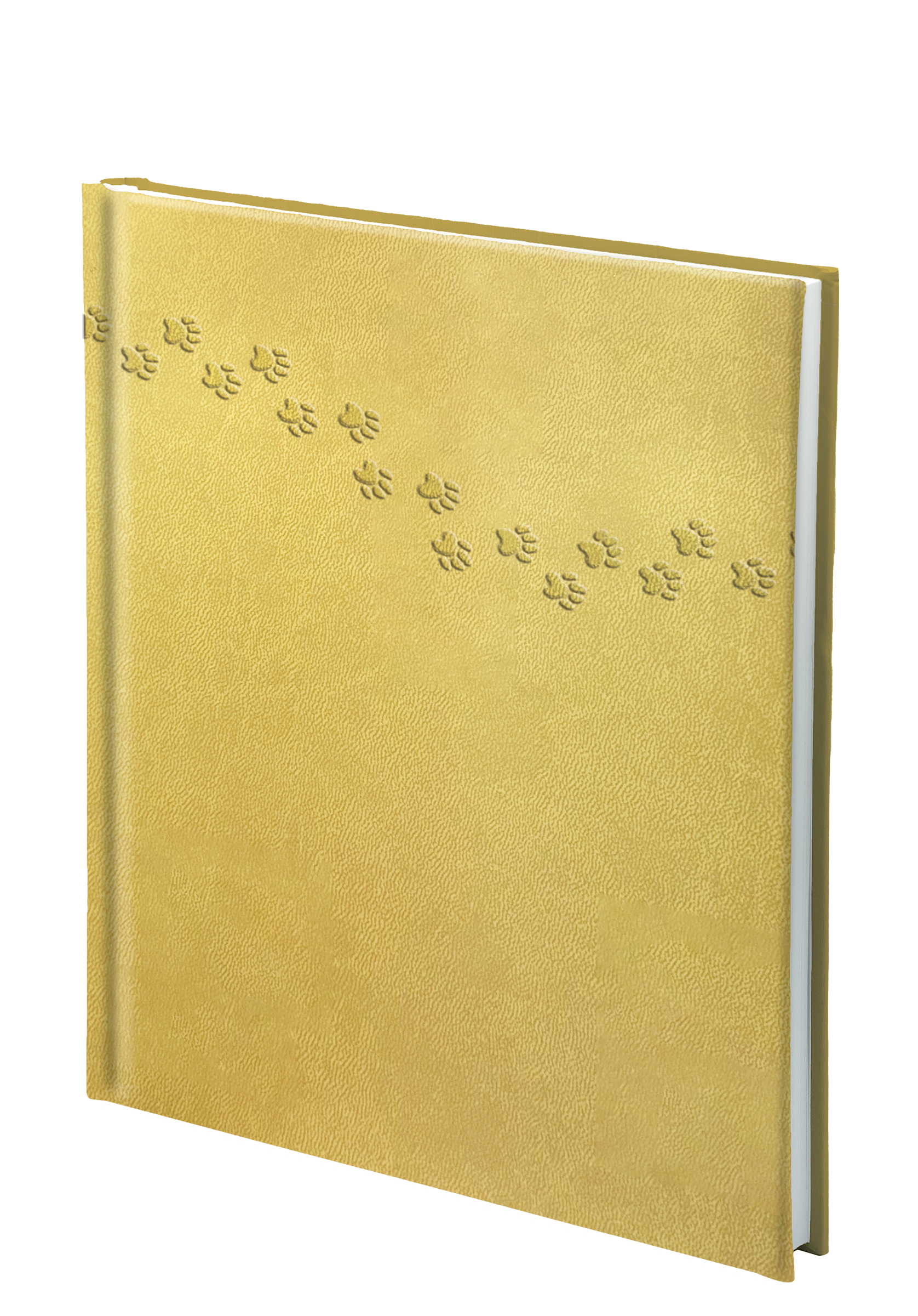 Poslovni dnevnik Diana