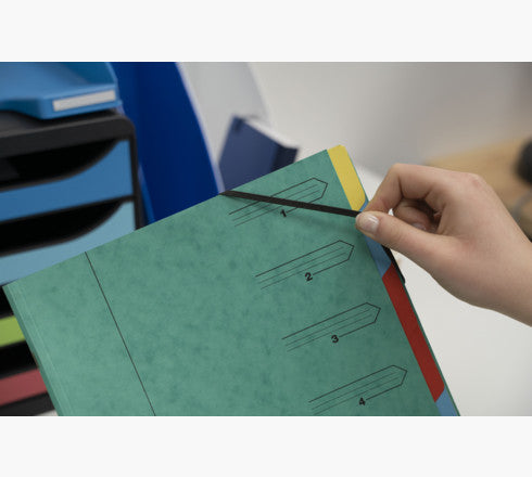 Mapa sortirna, z elastiko A4 Exacompta, kartonska