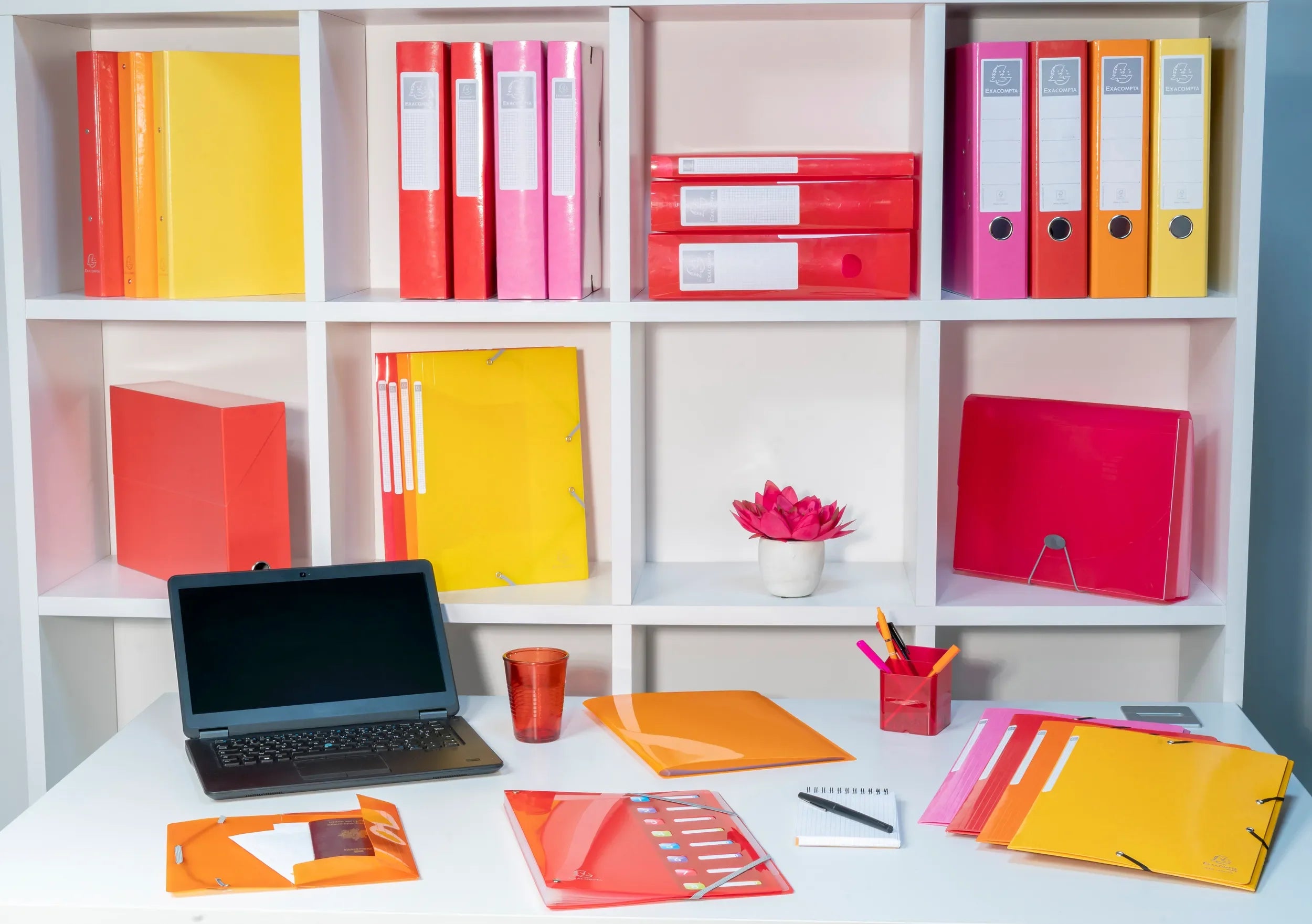 Mapa PP  A4 z elastiko, 13 delna, Exacompta Iderama 58770E, sortirane barve