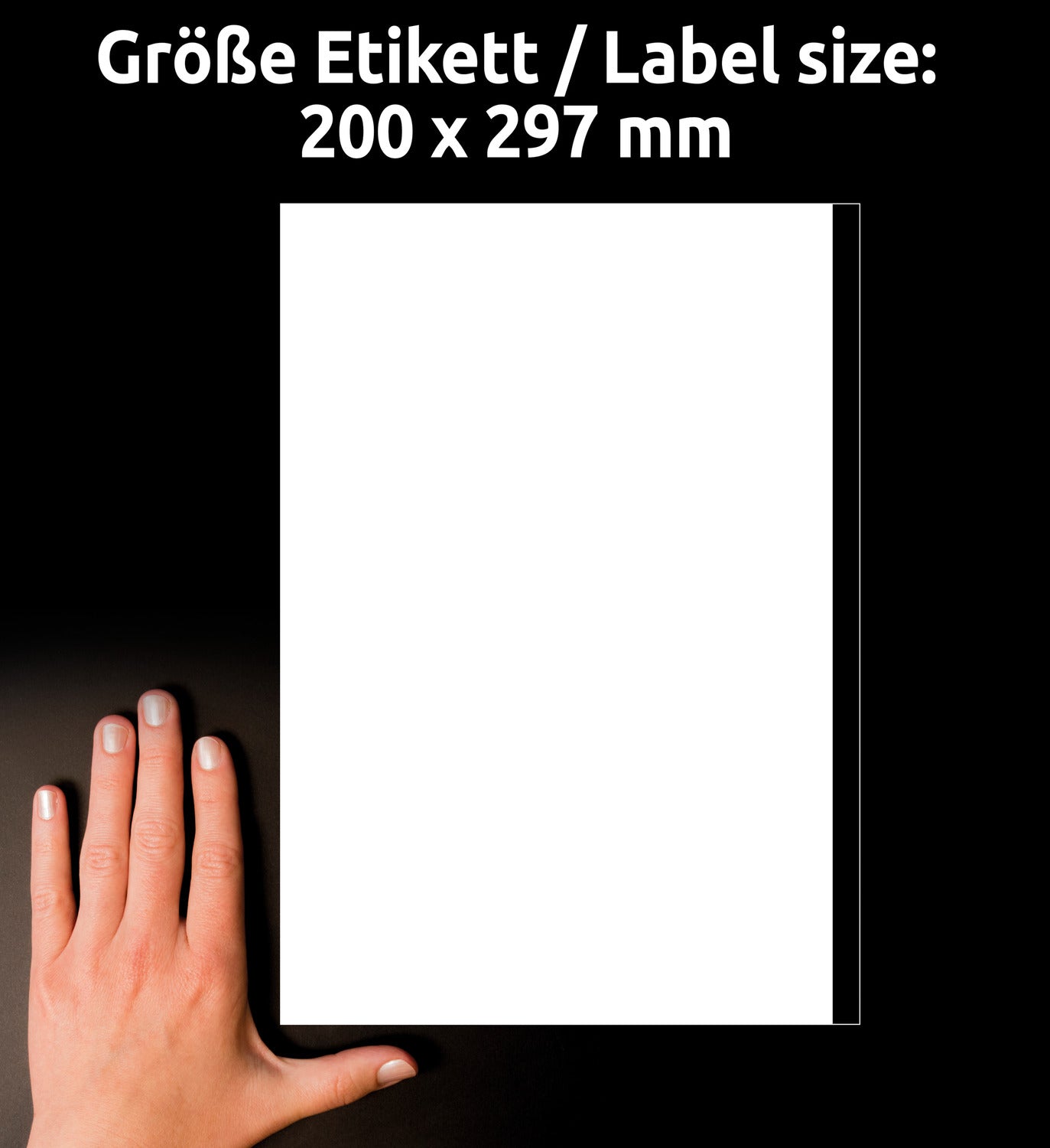 Etikete papirne bele univerzalne Avery Zweckform 3418, 200 x 297 mm