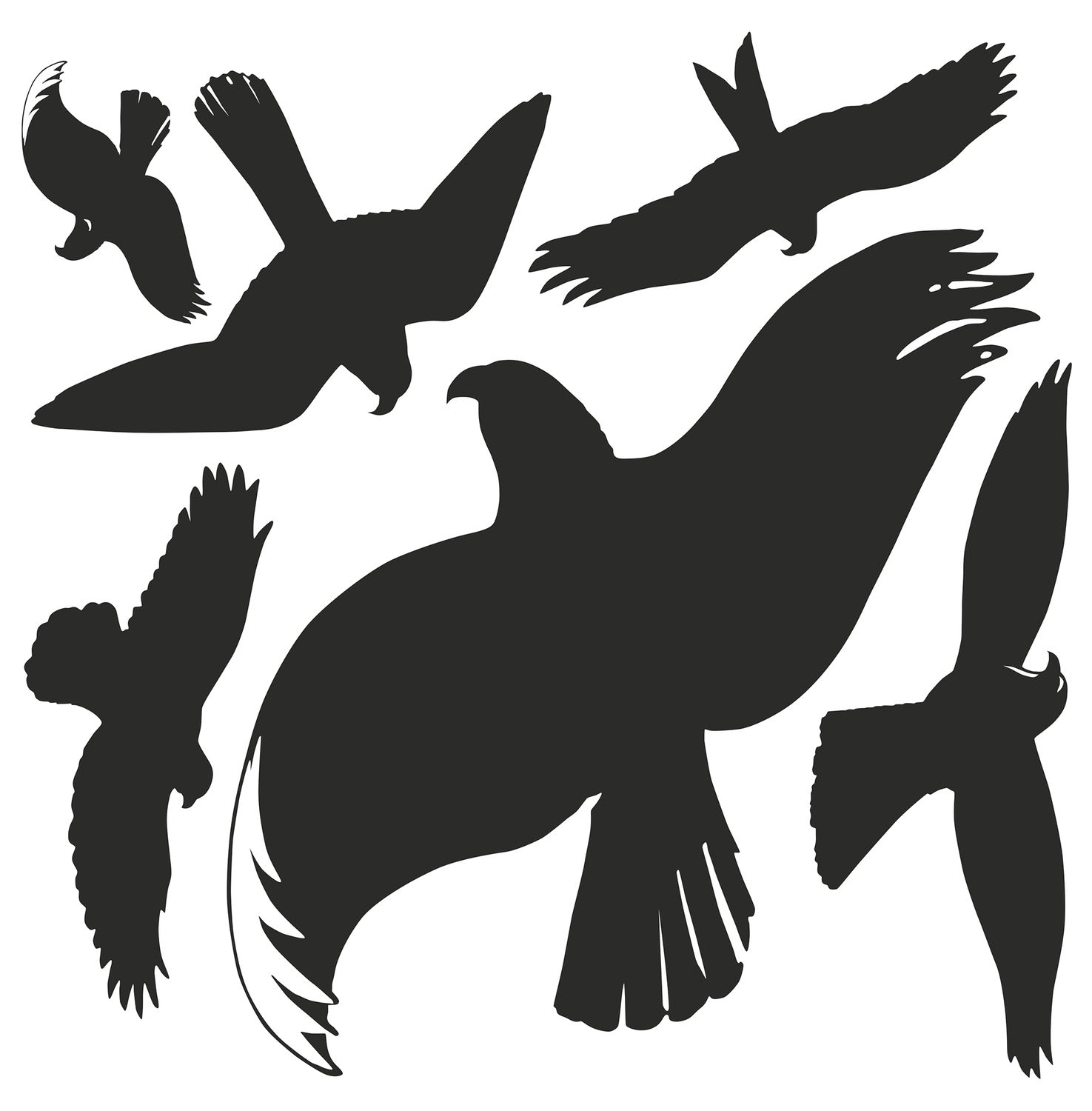 Etikete ptiči Avery Zweckform 4485, 280 x 285 mm