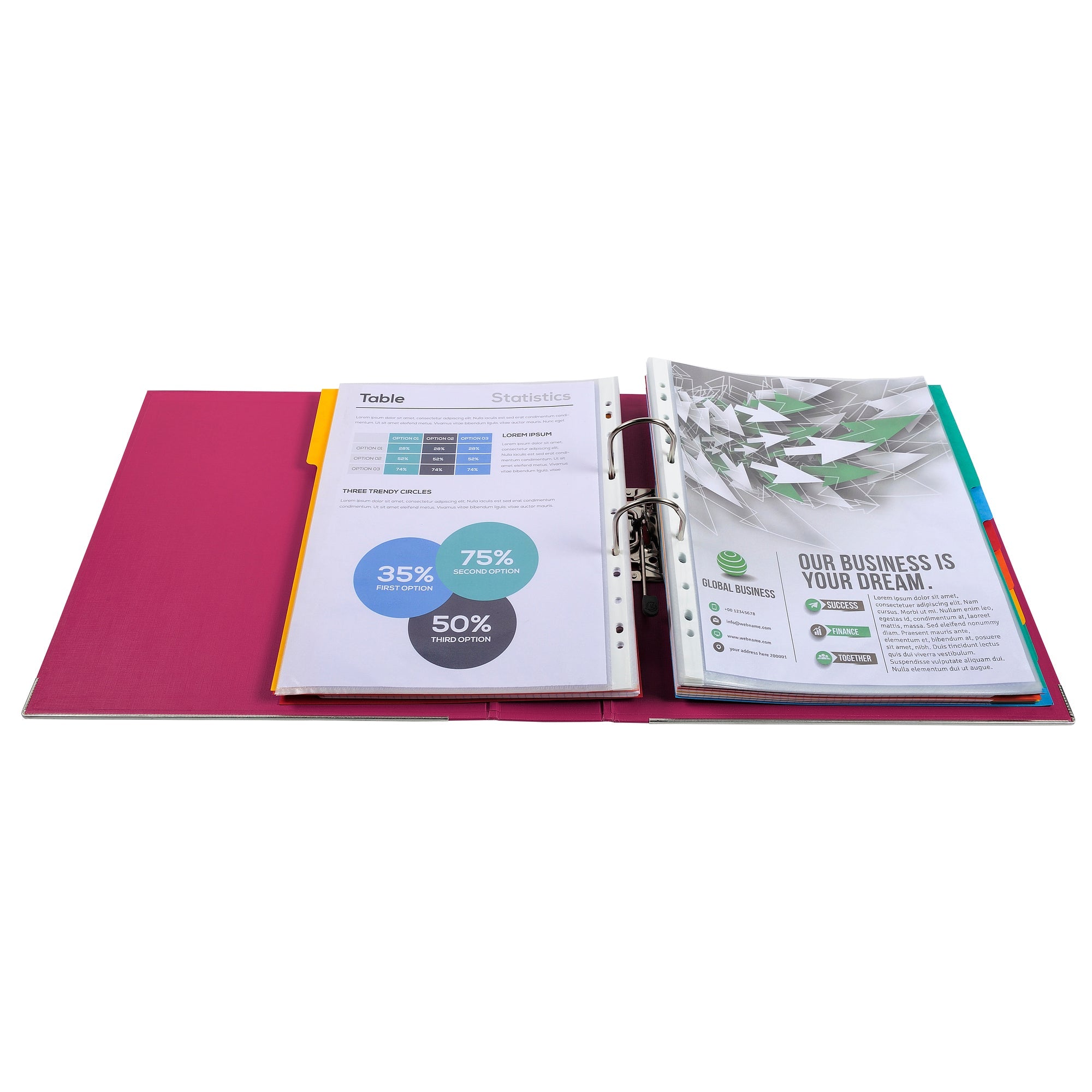 Samostoječ registrator Exacompta Maxi, A4/80, povišan