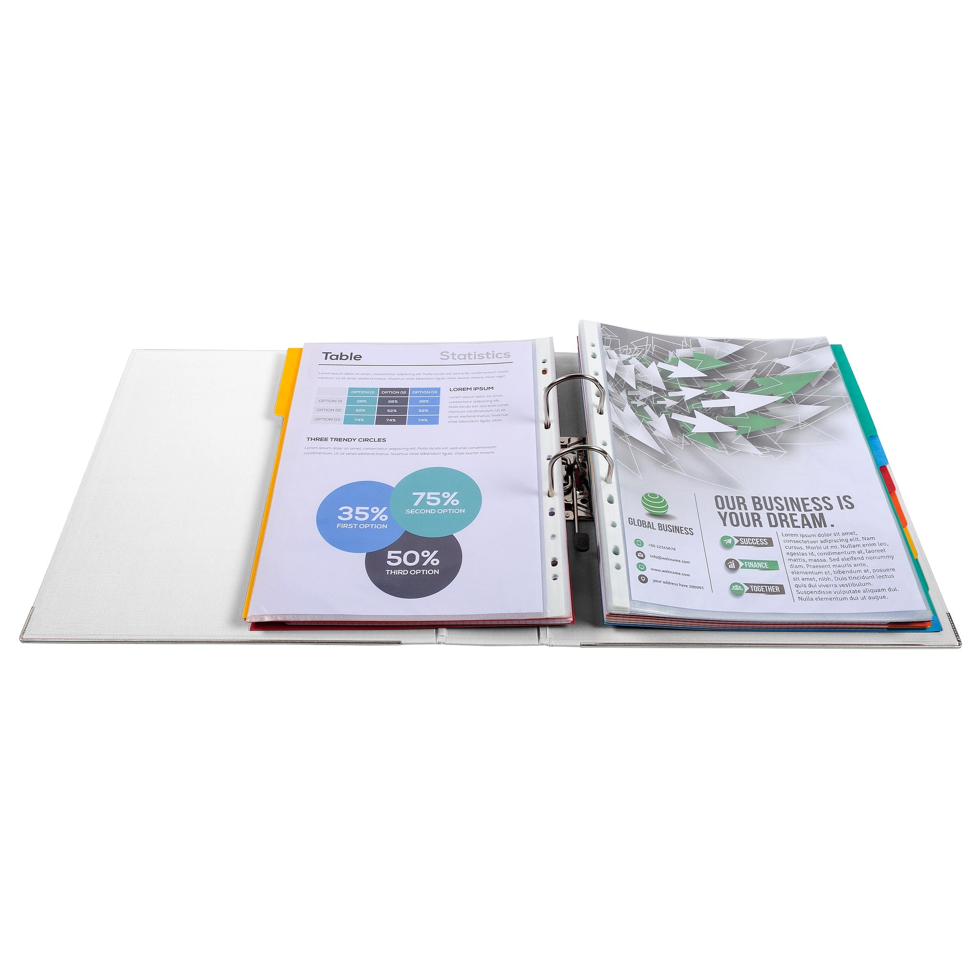 Samostoječ registrator Exacompta Maxi, A4/80, povišan