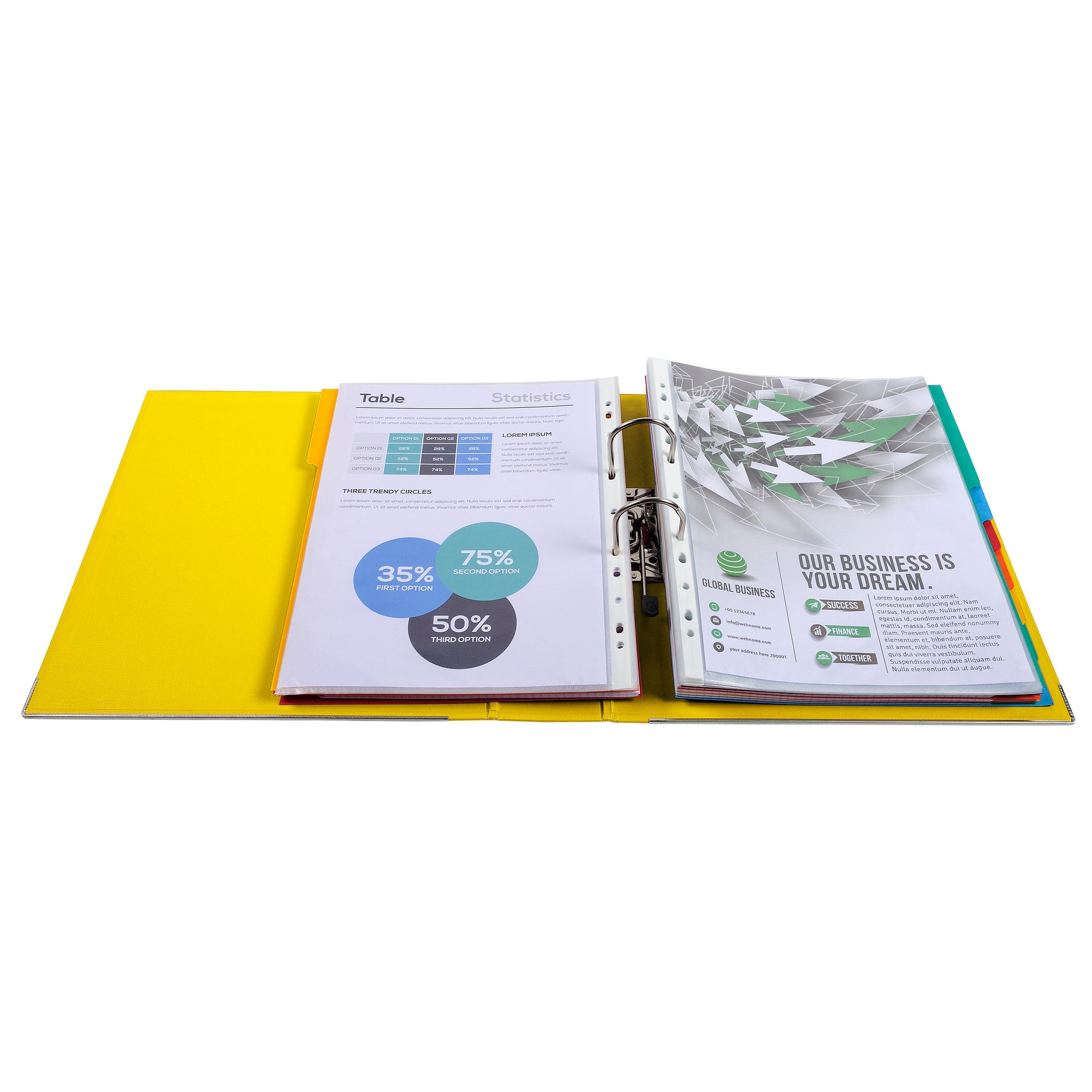 Samostoječ registrator Exacompta Maxi, A4/80, povišan