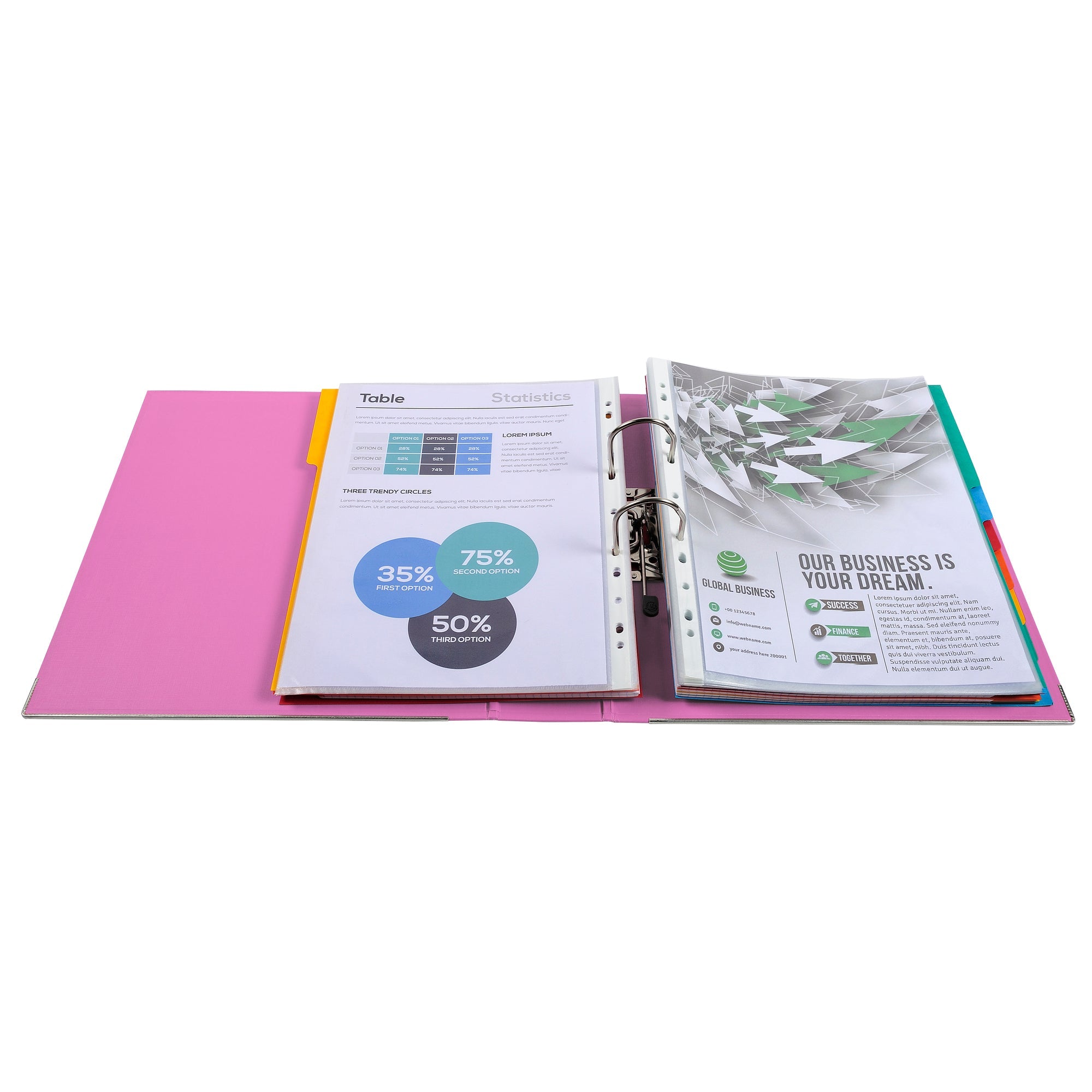 Samostoječ registrator Exacompta Maxi, A4/80, povišan