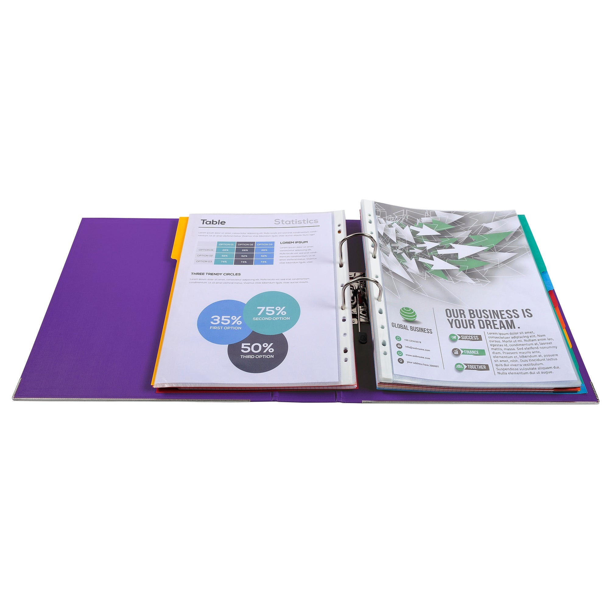 Samostoječ registrator Exacompta Maxi, A4/80, povišan