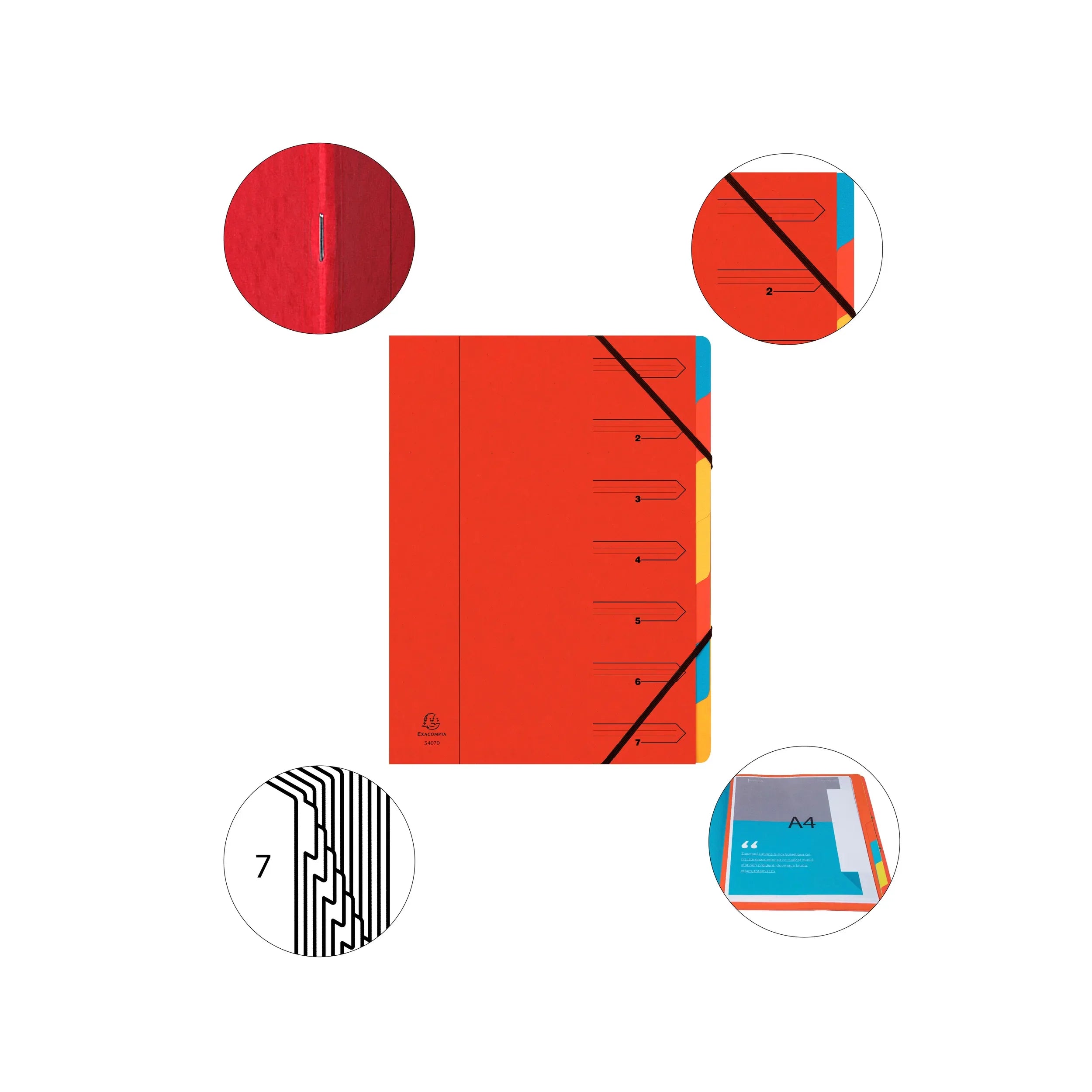 Mapa sortirna, z elastiko A4 Exacompta, kartonska