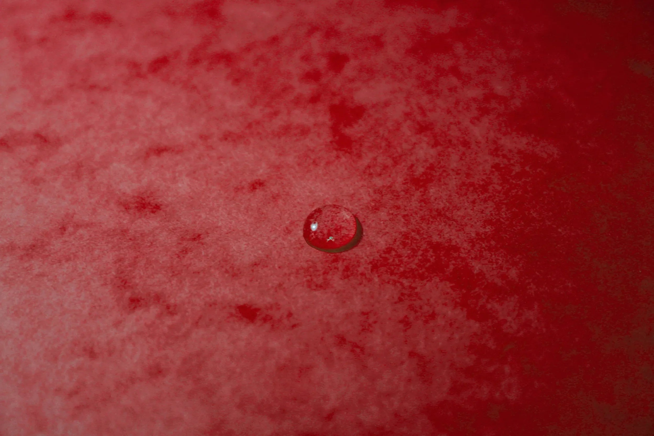 Mapa sortirna, z elastiko A4 Exacompta, kartonska