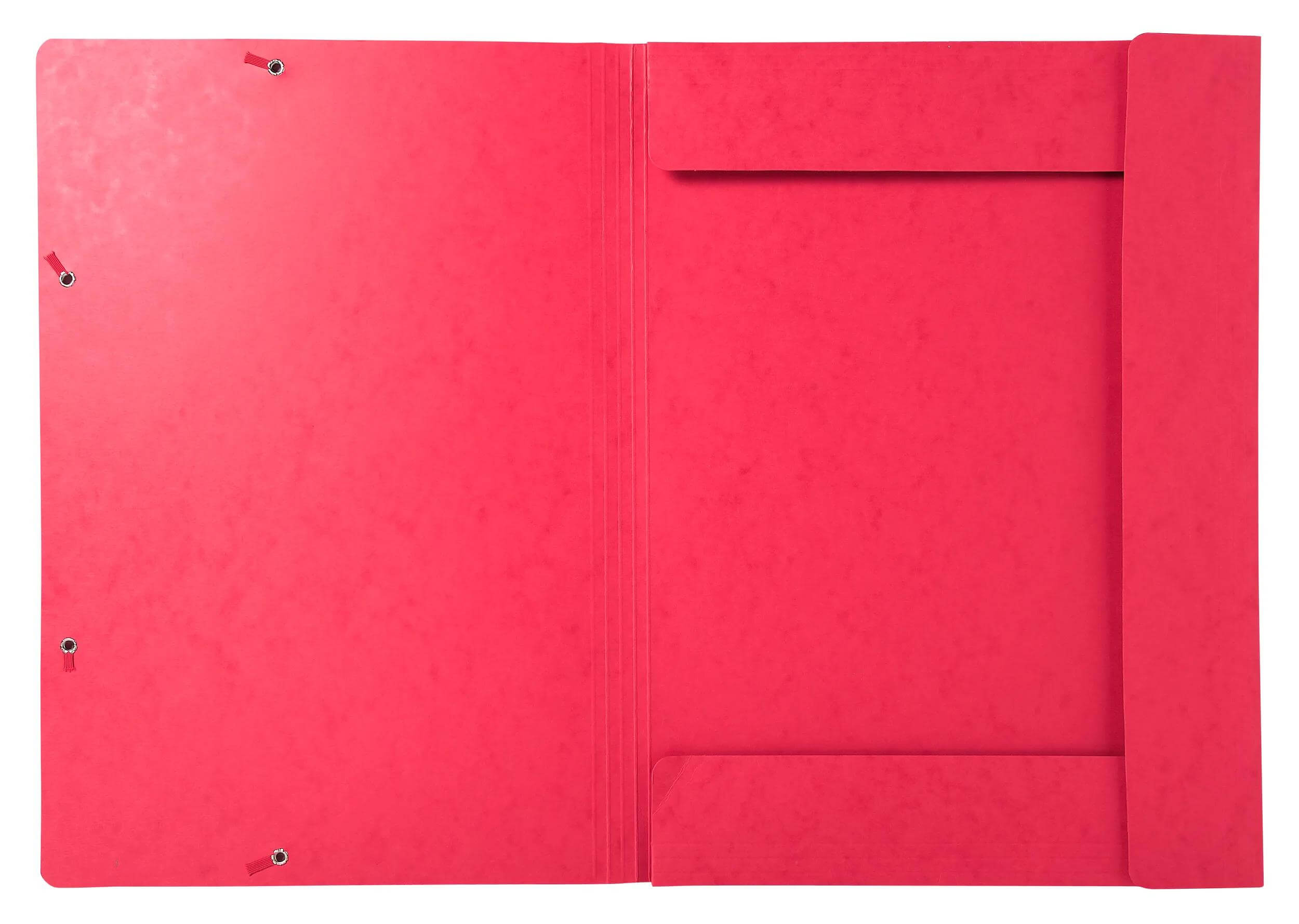 Mapa s klapo in elastiko A3 Exacompta, kartonska