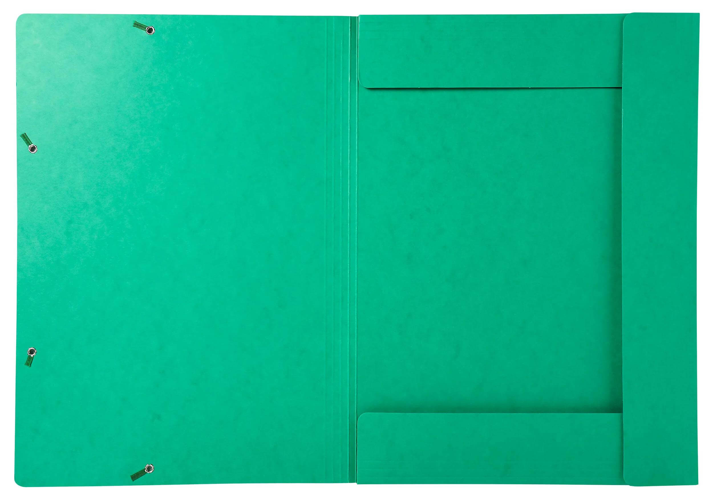 Mapa s klapo in elastiko A3 Exacompta, kartonska