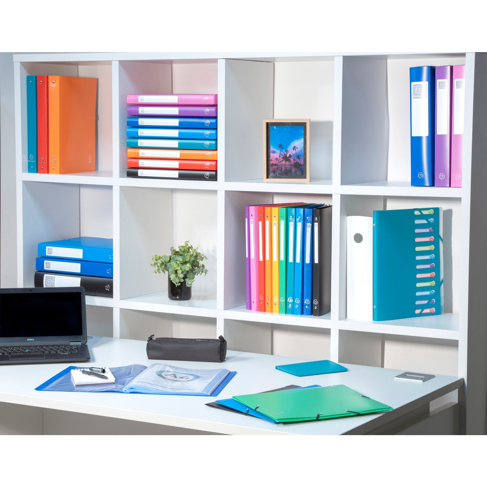 Mapa vložna 30 PP A4 Chromaline