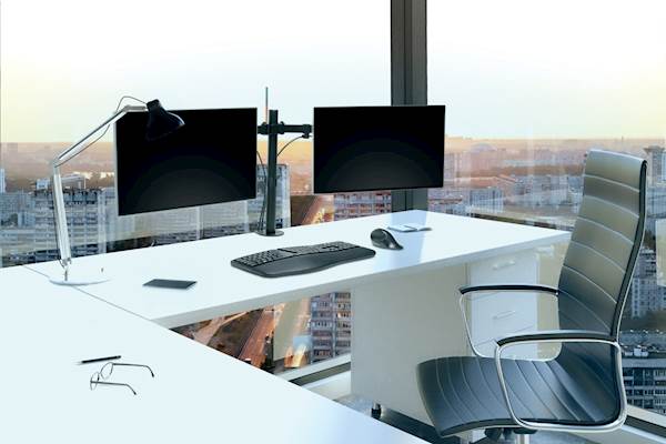 Roka za monitor SmartFit Ergo Kensington, dvojna