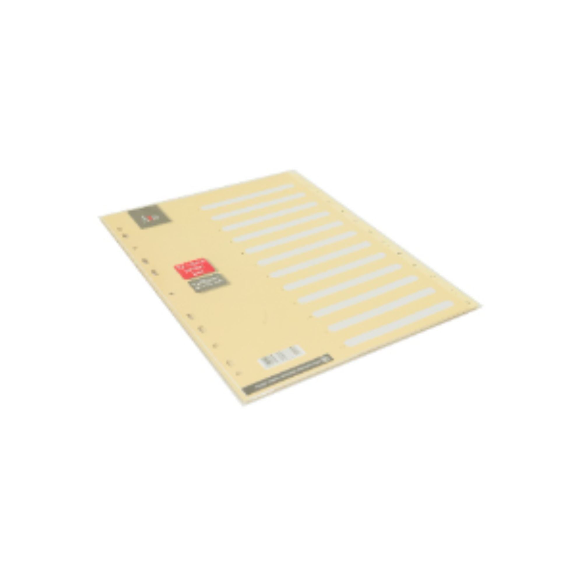 Register Axis A4, kartonski