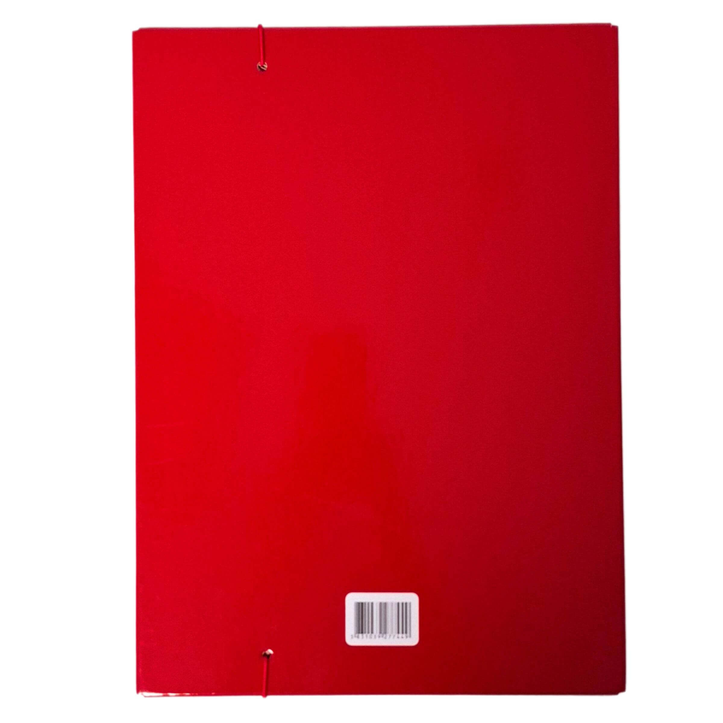 Mapa s klapo in elastiko A4/10-30 Axis, razširljiva