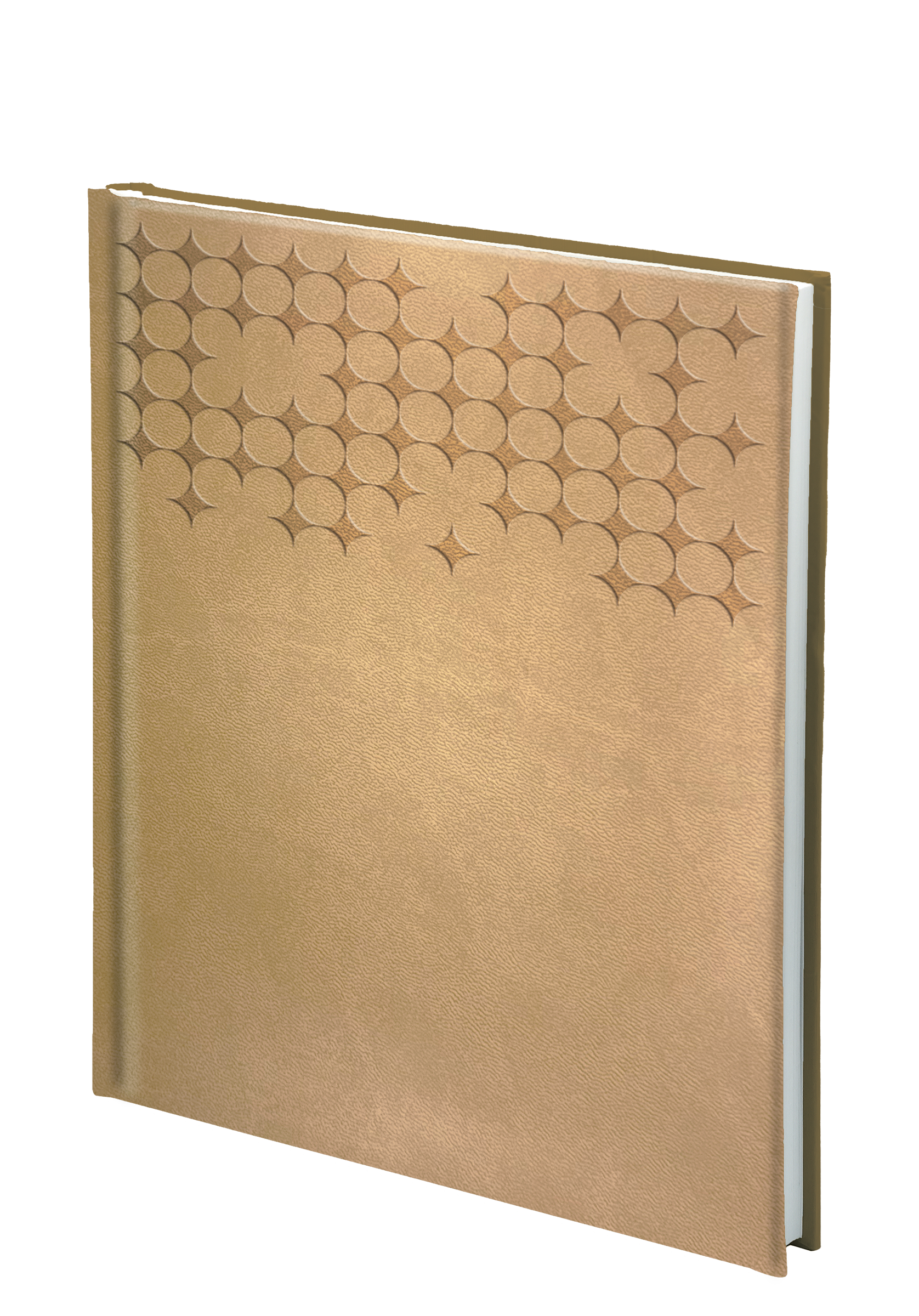 Poslovni dnevnik Zorya