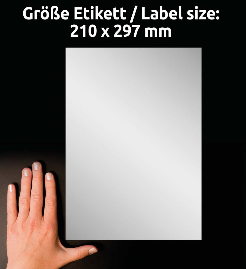 Etikete poliestrske srebrne zelo odporne Avery Zweckform L6013-20, 210 x 297 mm