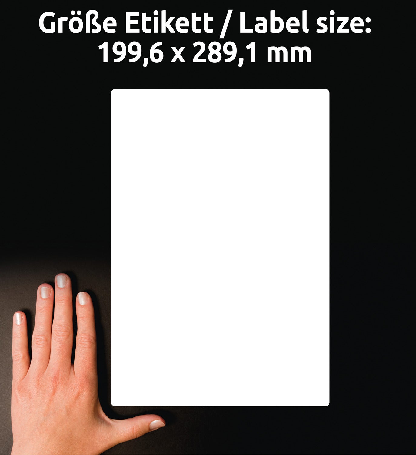 Etikete poliestrske bele zelo odporne za pakete Avery Zweckform L7997-20, 199,6 x 289,1 mm